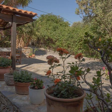Private Pet Friendly Villa Agios Nikolaos  Luaran gambar