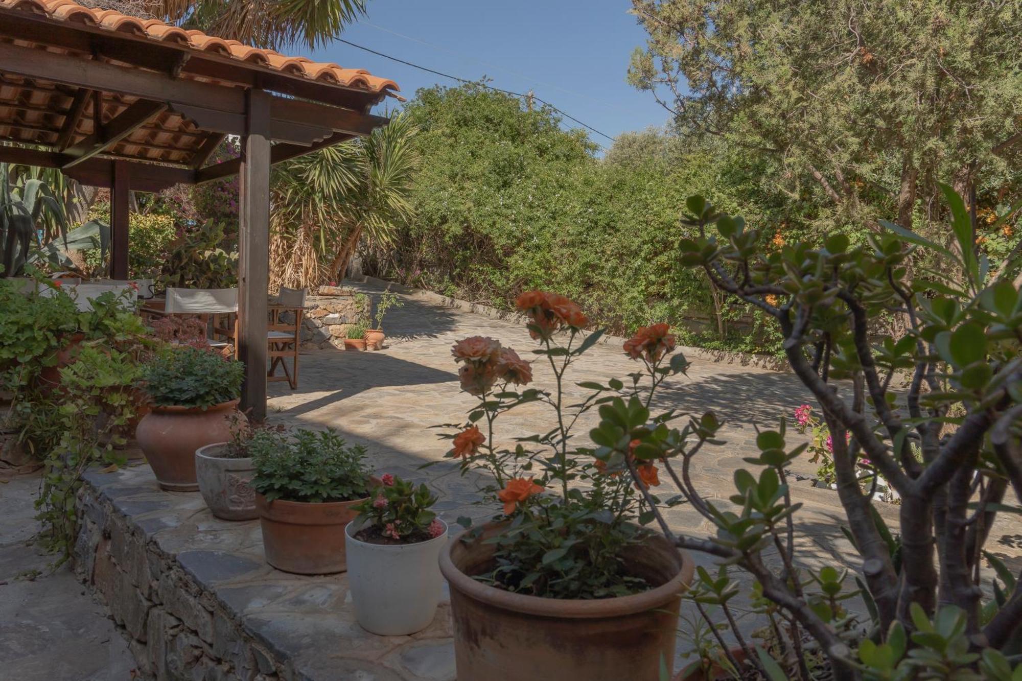 Private Pet Friendly Villa Agios Nikolaos  Luaran gambar