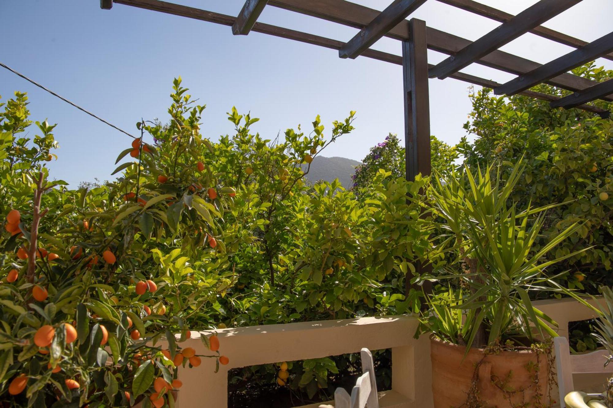 Private Pet Friendly Villa Agios Nikolaos  Luaran gambar